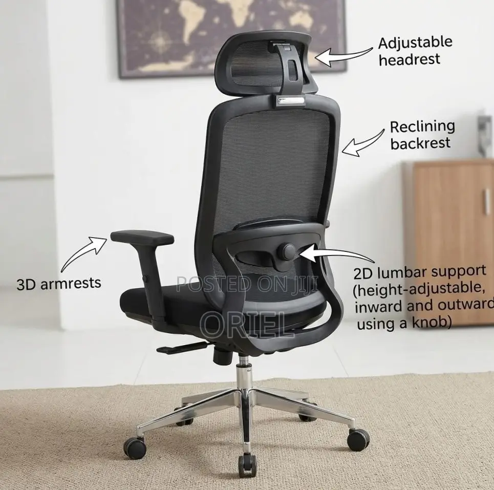 Lumbar Support Office Chair : Adjustable Back Support Office Chair