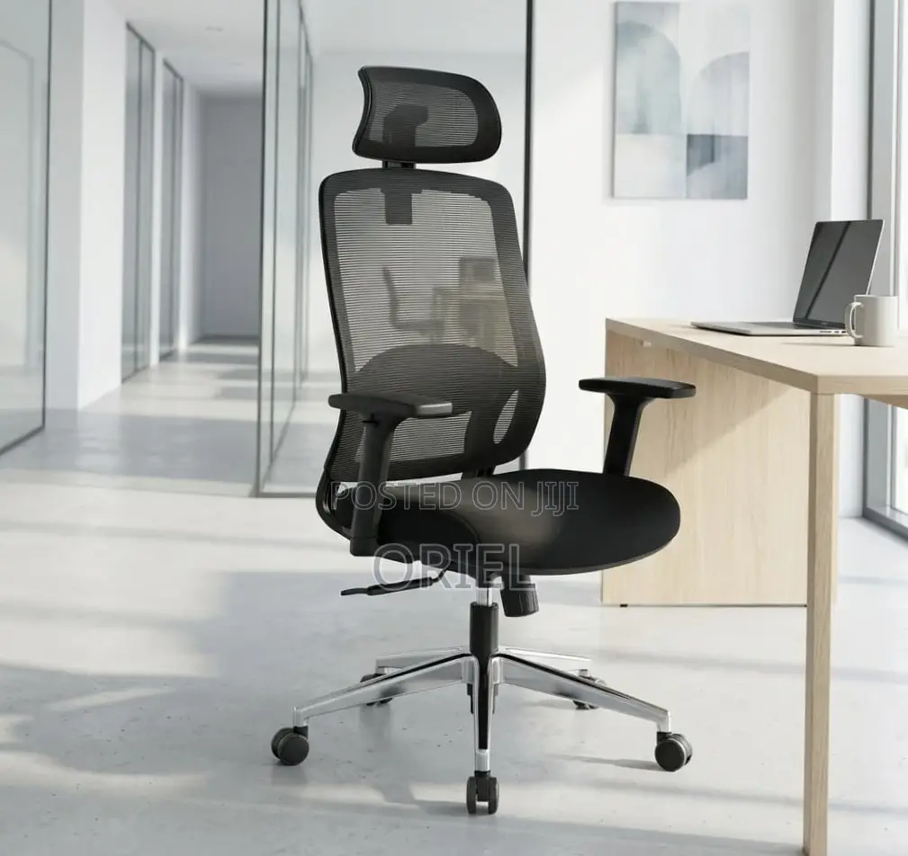 Lumbar Support Office Chair : Adjustable Back Support Office Chair