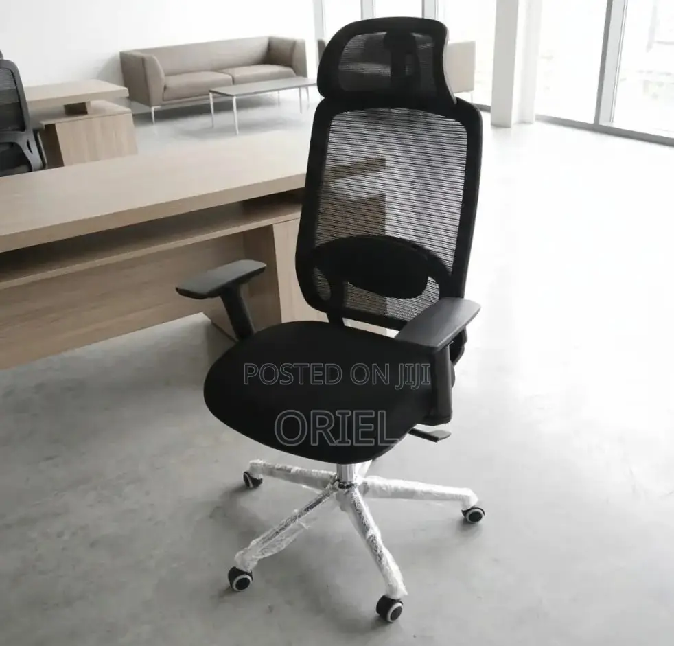 Lumbar Support Office Chair : Adjustable Back Support Office Chair