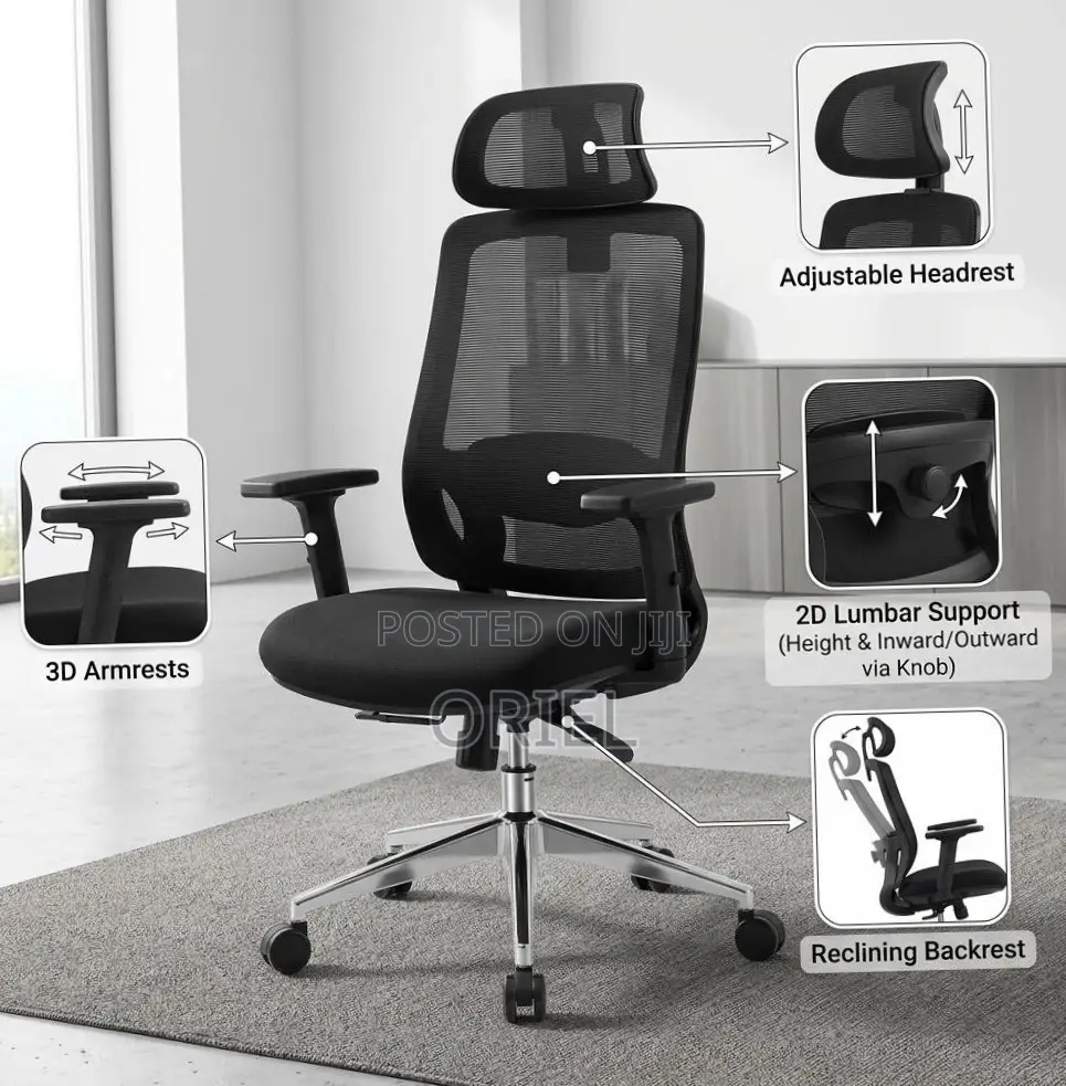 Lumbar Support Office Chair : Adjustable Back Support Office Chair