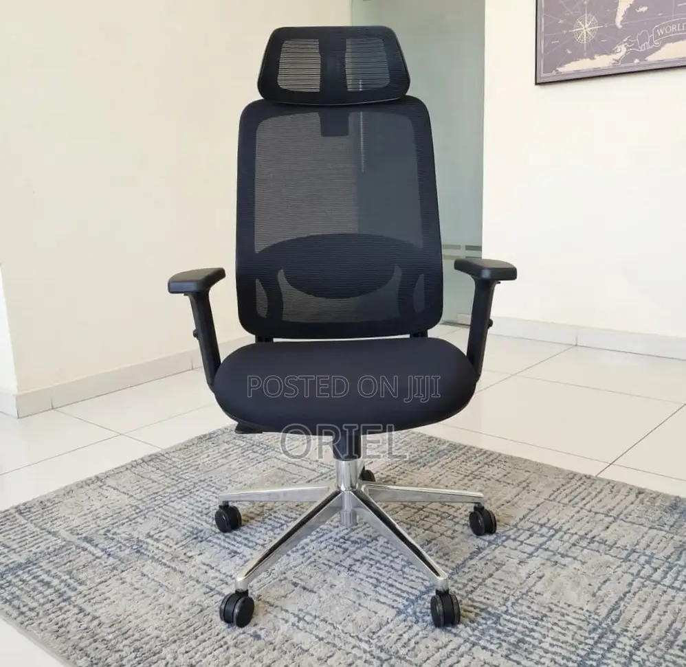 Lumbar Support Office Chair : Adjustable Back Support Office Chair