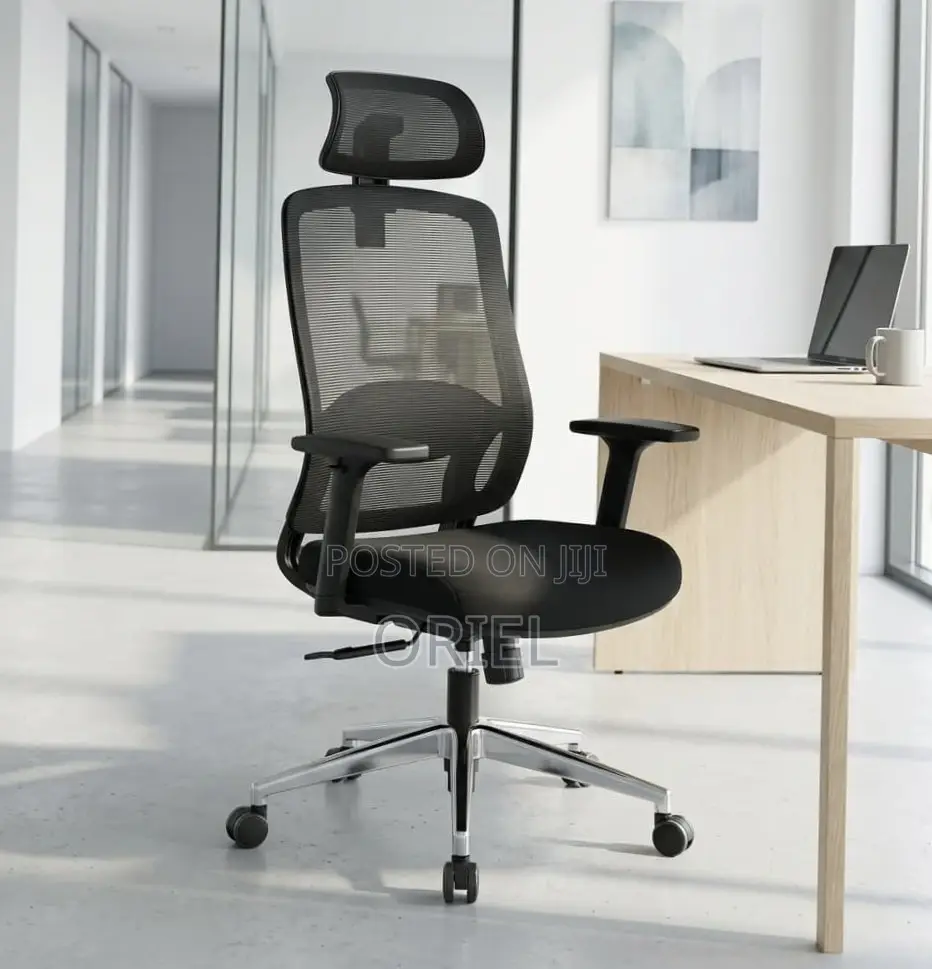 Lumbar Support Office Chair : Adjustable Back Support Office Chair