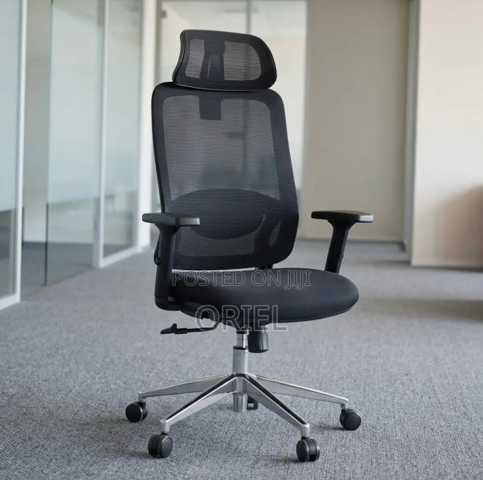 Lumbar Support Office Chair : Adjustable Back Support Office Chair