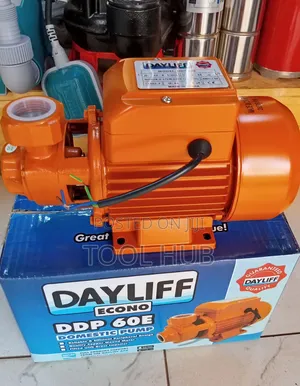 Dayliff Econo DDP 60E Domestic Pump,