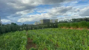 2 Acres Machakos Junction 200m From Mombasa Road Selling at 26m