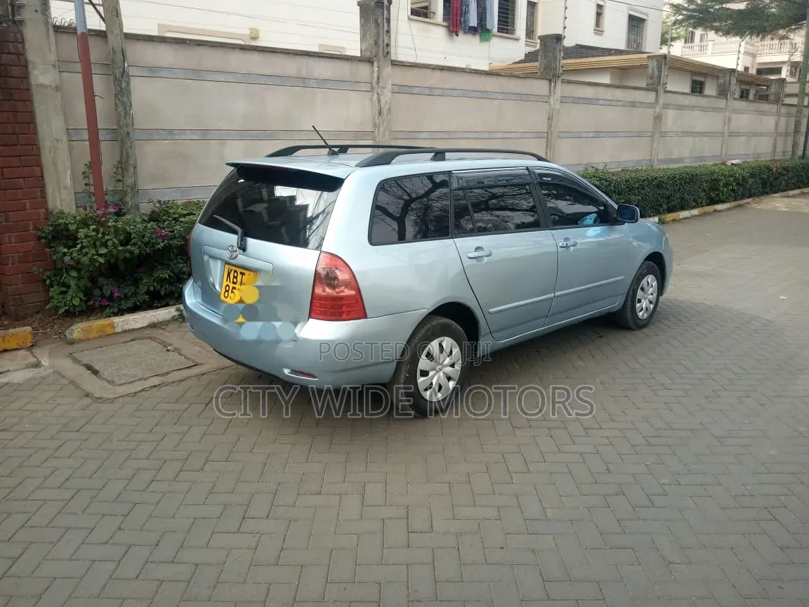 Toyota Corolla Fielder 2005 Silver