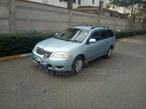 Toyota Corolla Fielder 2005 Silver