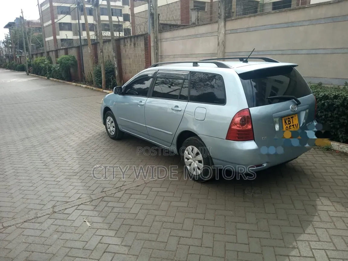 Toyota Corolla Fielder 2005 Silver