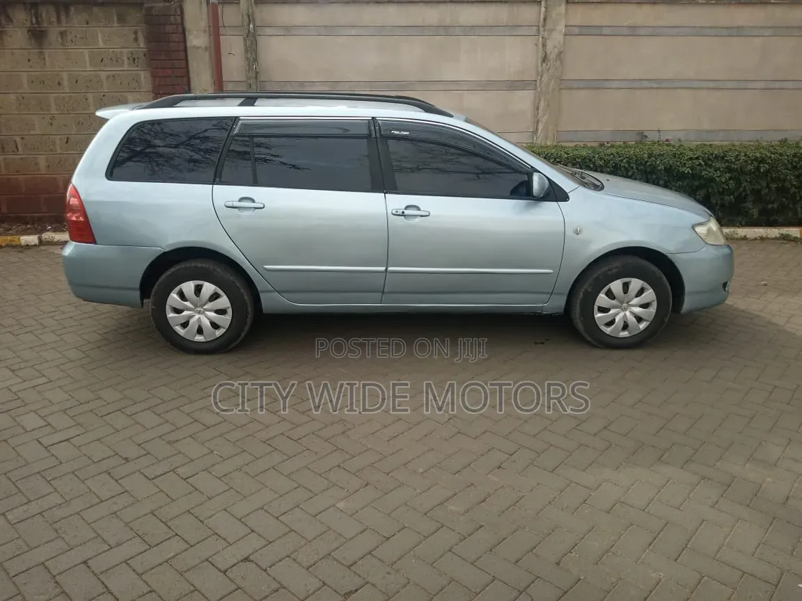 Toyota Corolla Fielder 2005 Silver