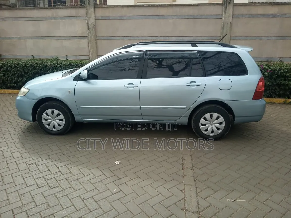 Toyota Corolla Fielder 2005 Silver