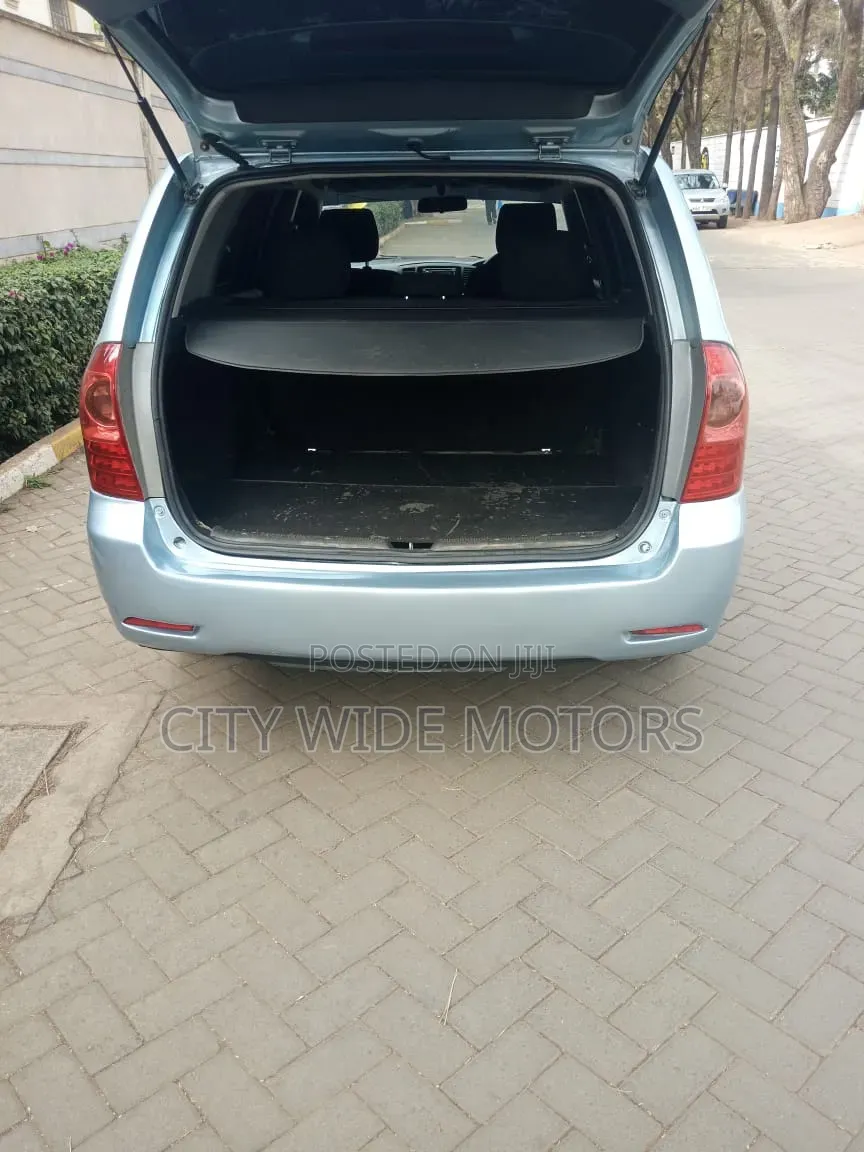 Toyota Corolla Fielder 2005 Silver