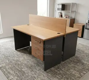 Office Workstation : 2-Seater Locally Made Staff Workstation