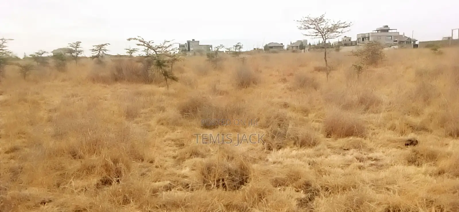 Prime 5 Acres Katani 1.7km From tarmac.Ready!