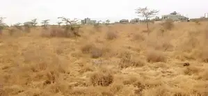 Prime 5 Acres Katani 1.7km From tarmac.Ready!