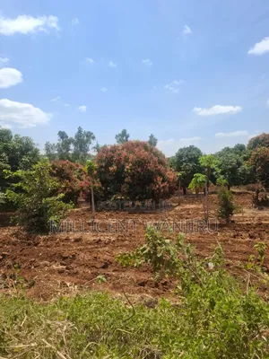 50×100 Plot for Sale in Makuyu