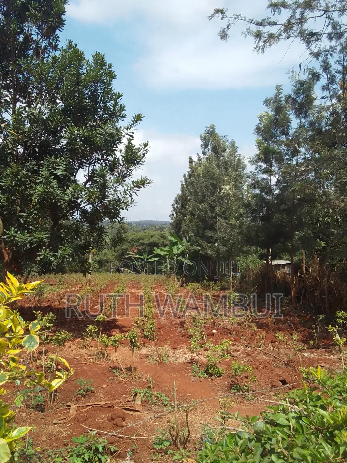 Land on Sale Kirinyaga County