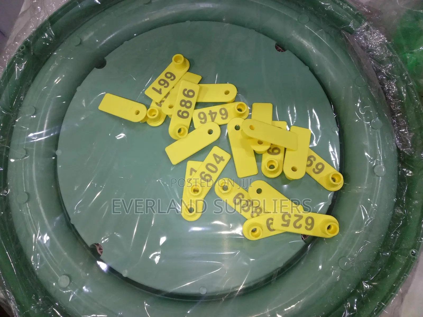 Ear Tags - Distinct Tag Shape Wholesale