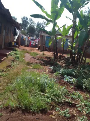 Land on Sale Kirinyaga County