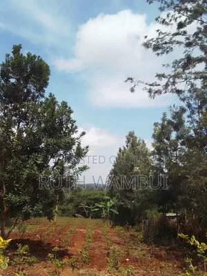 Land on Sale Kirinyaga County