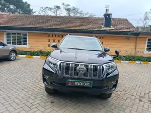 Toyota Land Cruiser Prado 2019