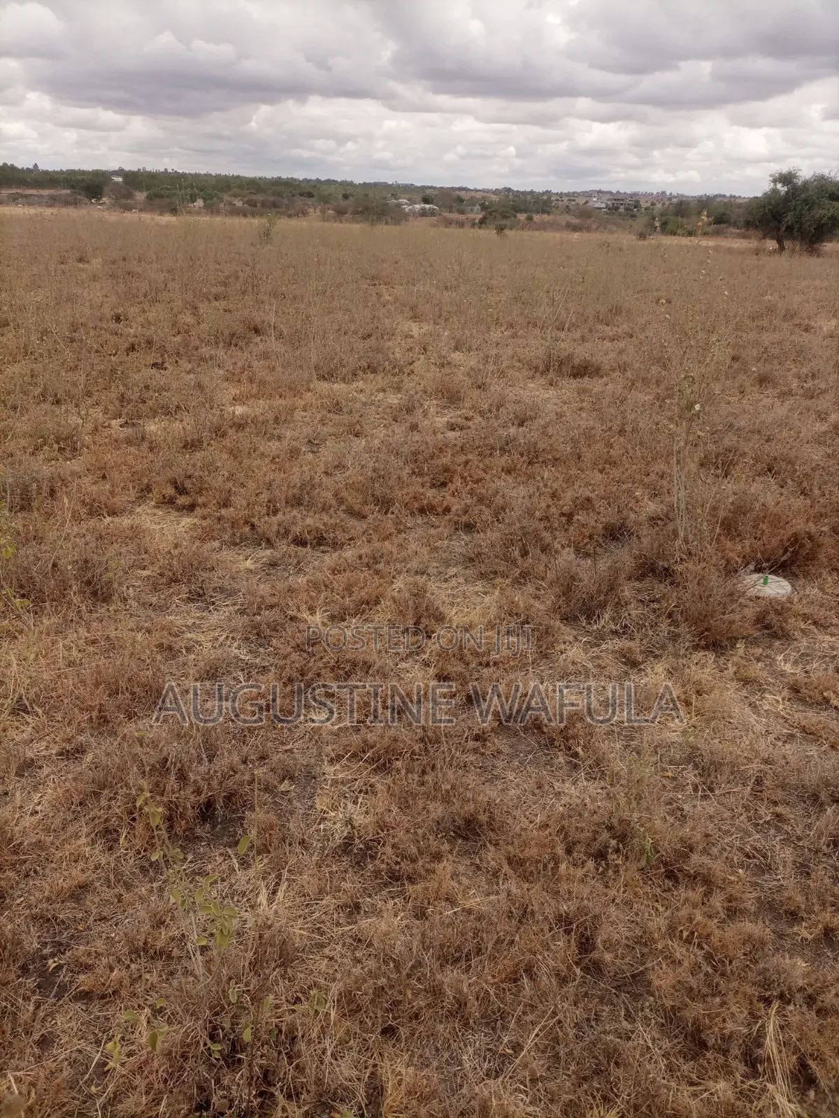 Plots for Sale
