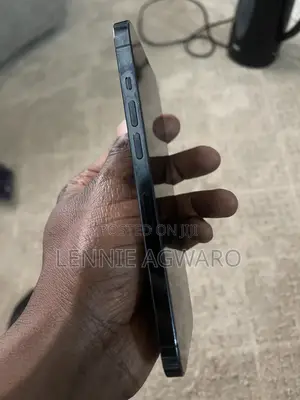 Apple iPhone 12 Pro Max 256 GB Blue