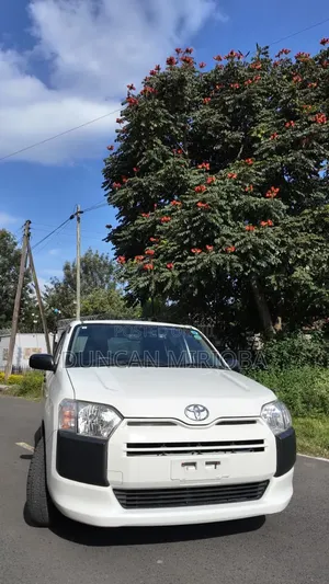 Toyota Probox 2019 White