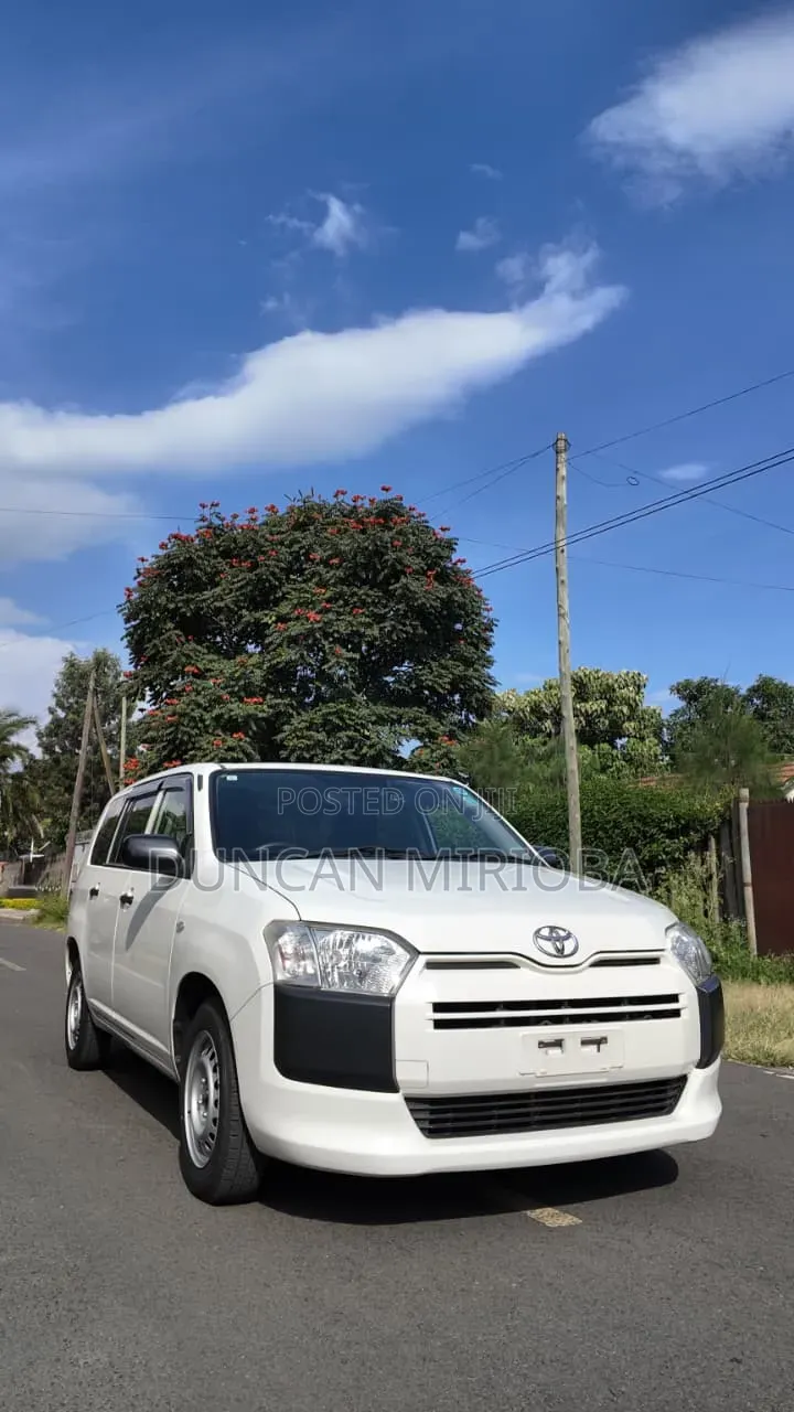 Toyota Probox 2019 White