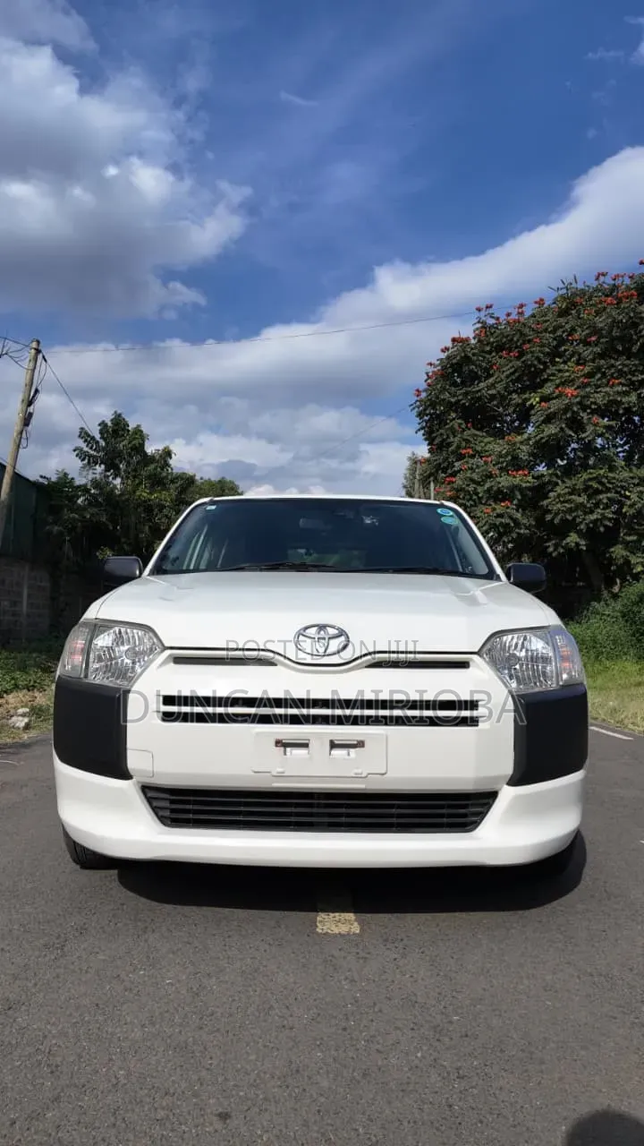 Toyota Probox 2019 White