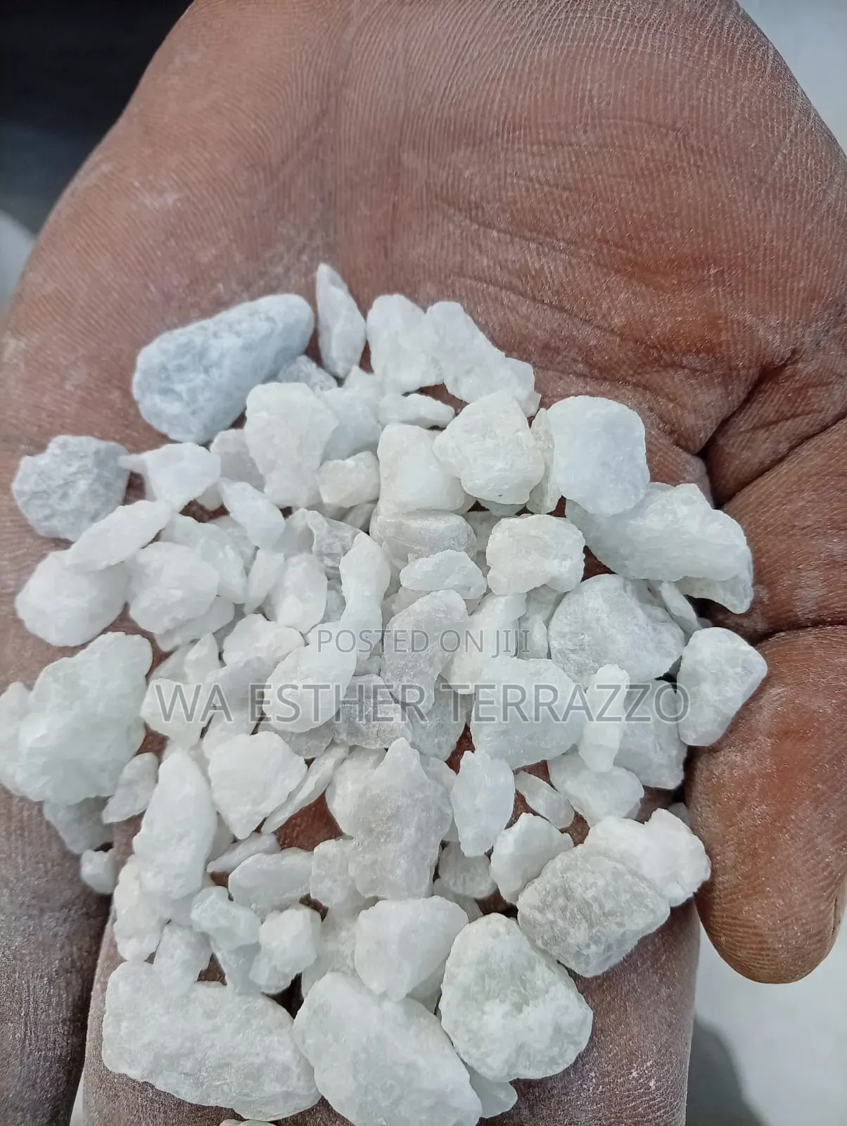 White Chips