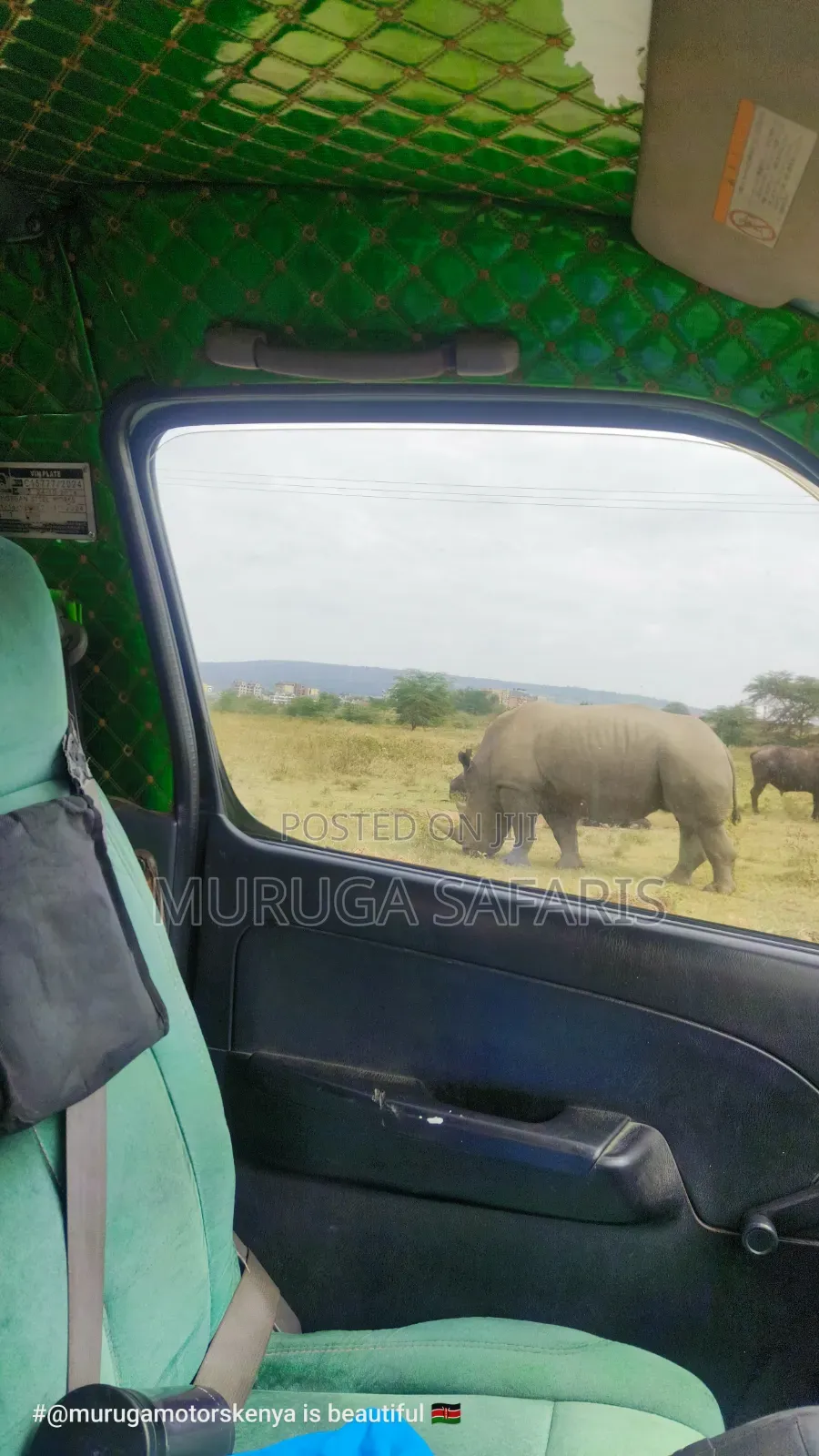 Safaris in Nakuru and Masai Mara