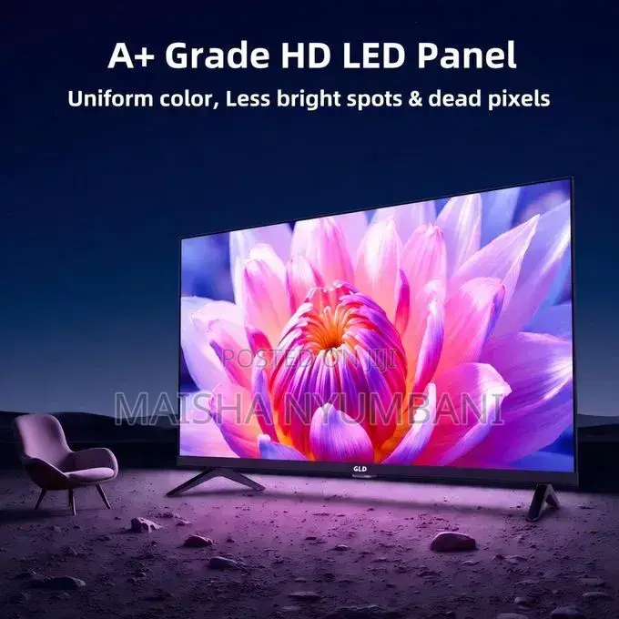 GLD 24 Inch Hd Led Analogtv-Digital T2 TV, A+panel W USB Hdmi Port,