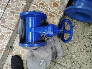 4" Sluice Valve