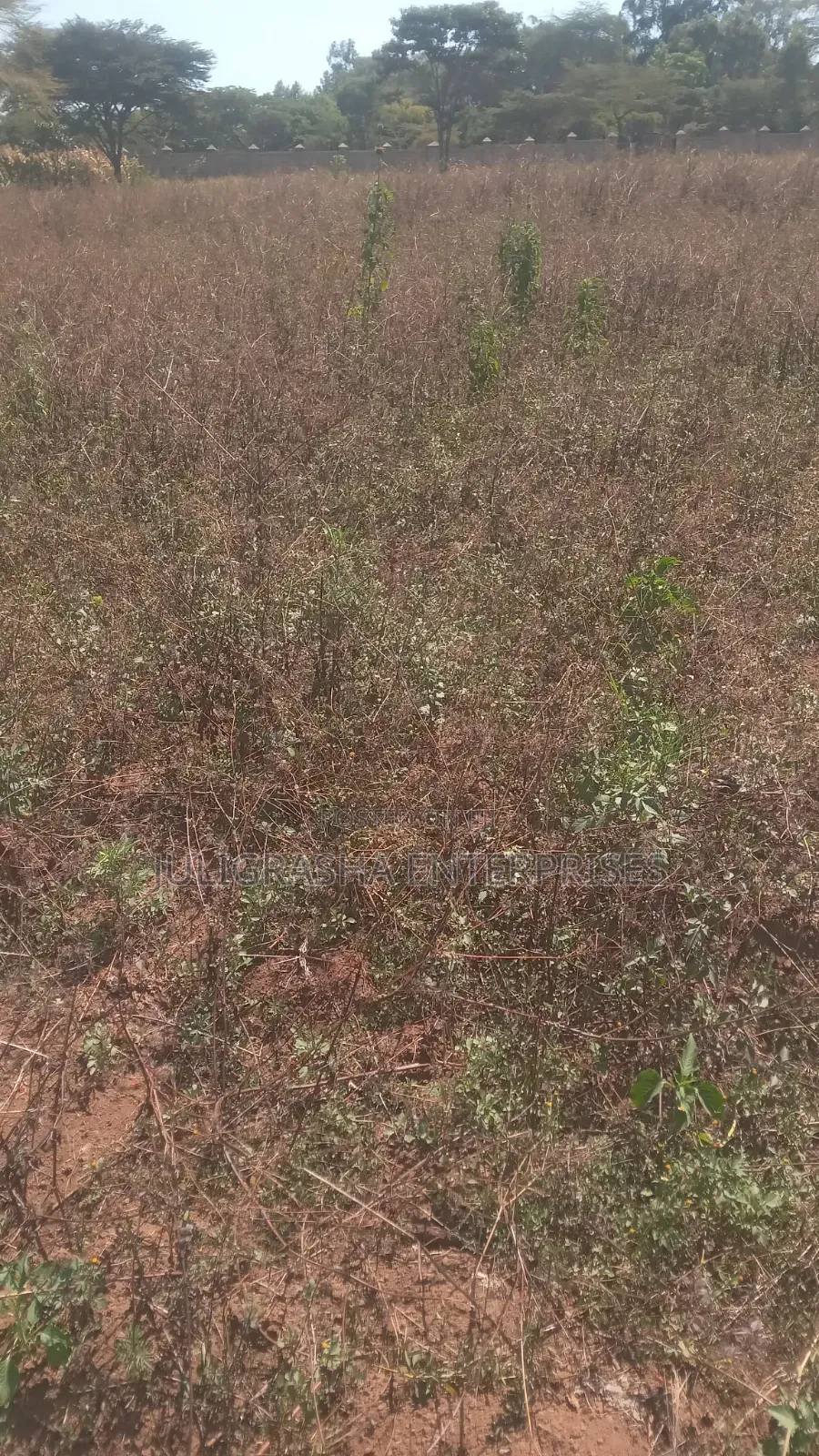 Hyssop Acres MALINDI