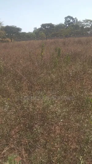 Hyssop Acres MALINDI