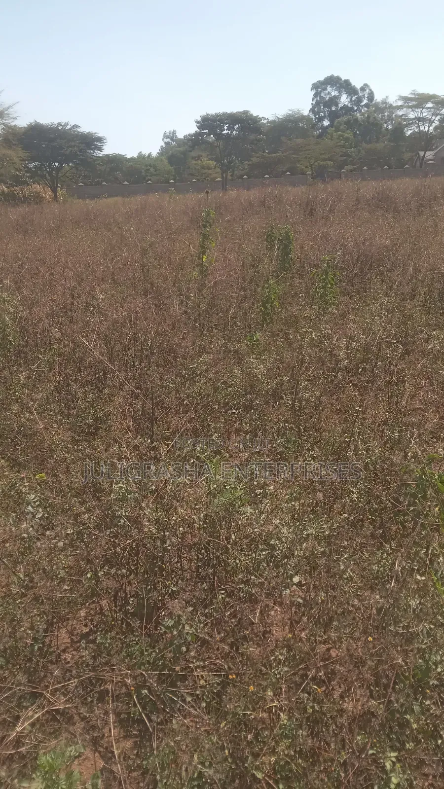 Hyssop Acres MALINDI