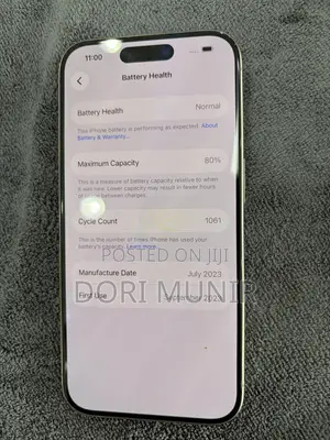 Apple iPhone 15 Pro 256 GB Silver