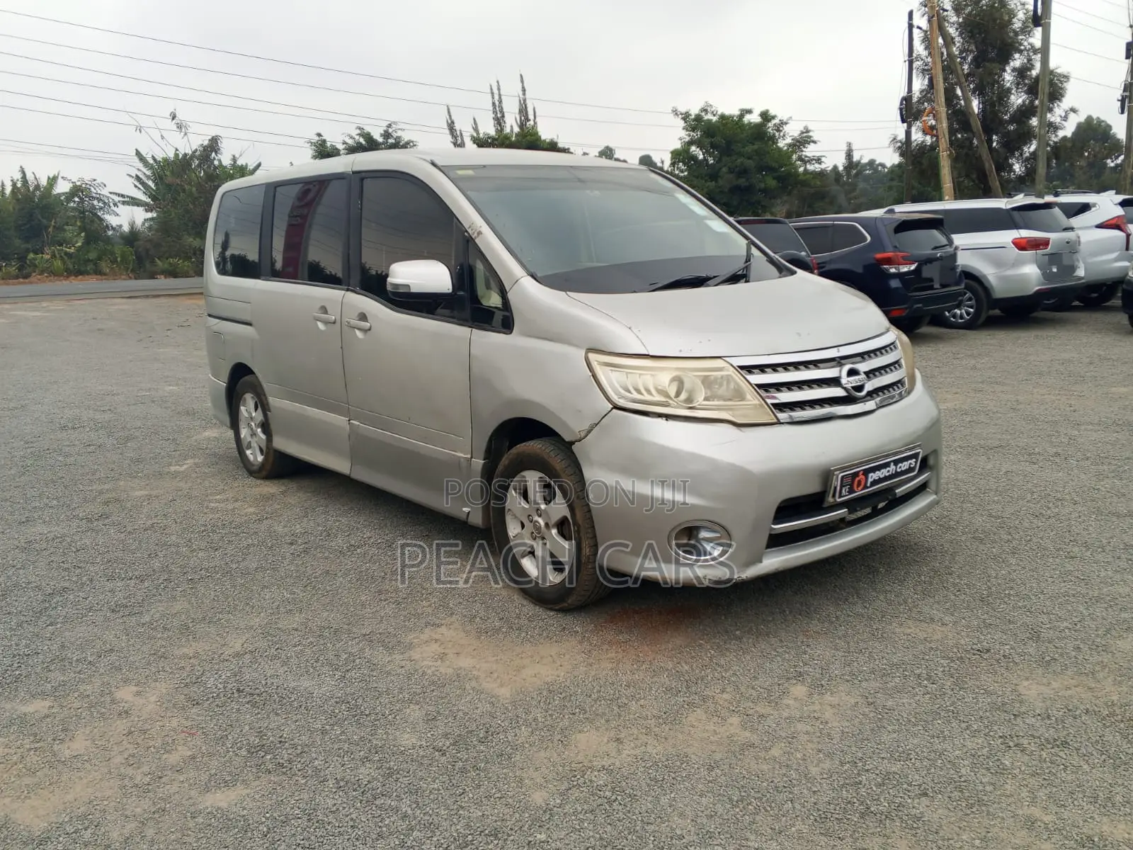 Nissan Serena 2010 Silver