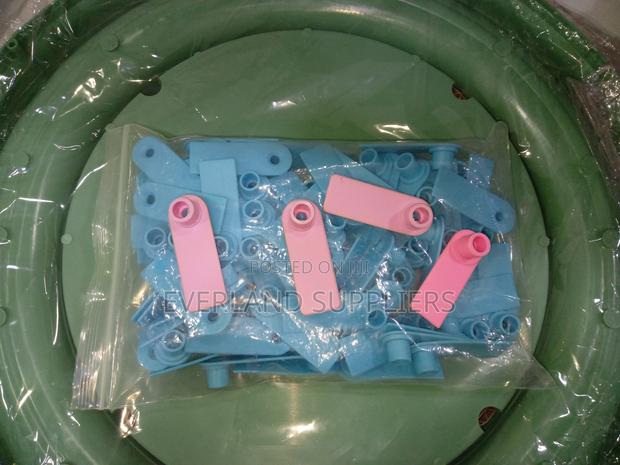 Ear Tags - Number Sequence Options Wholesale - main view