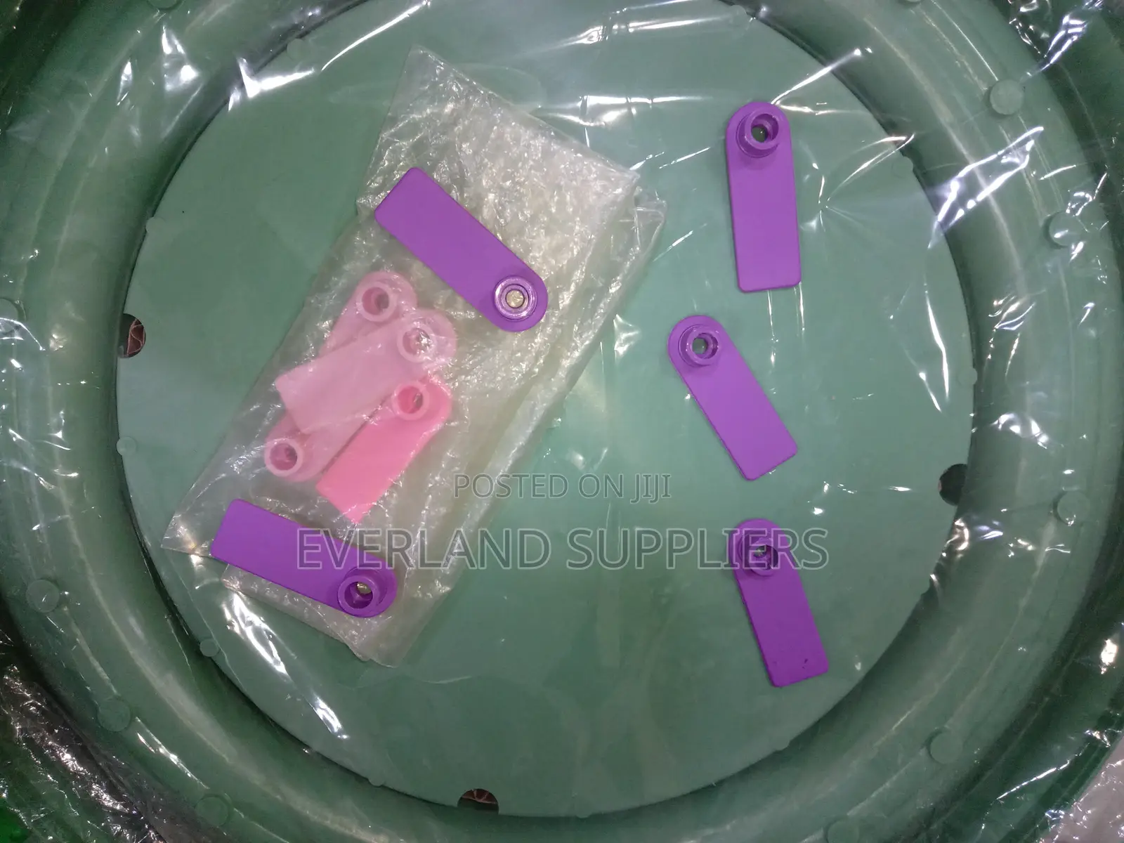 Ear Tags - Multi-Shade Options Wholesale