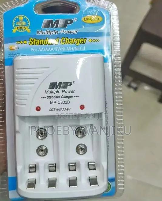 Standard Multiple Battery Charger - main view