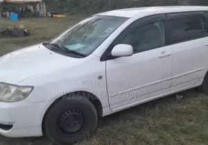 Toyota Corolla Fielder 1.5 Petrol AWD 2005 White