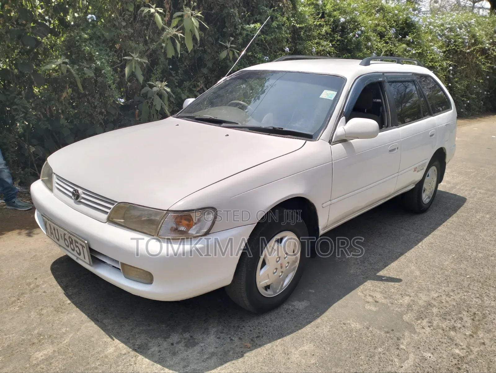 Toyota Corolla 2001 White