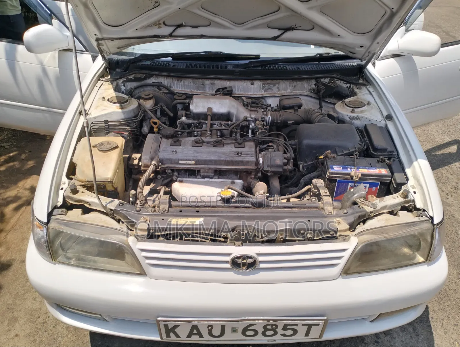 Toyota Corolla 2001 White