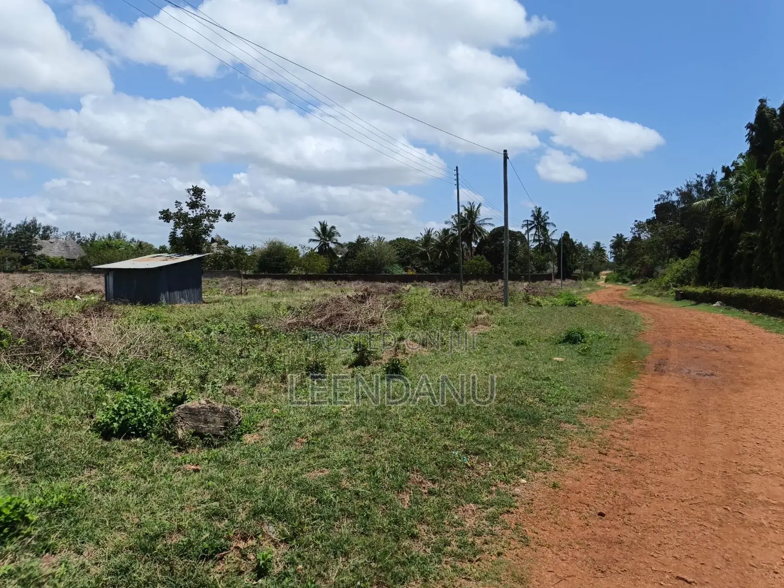 1/4 Acre Plot for Sale