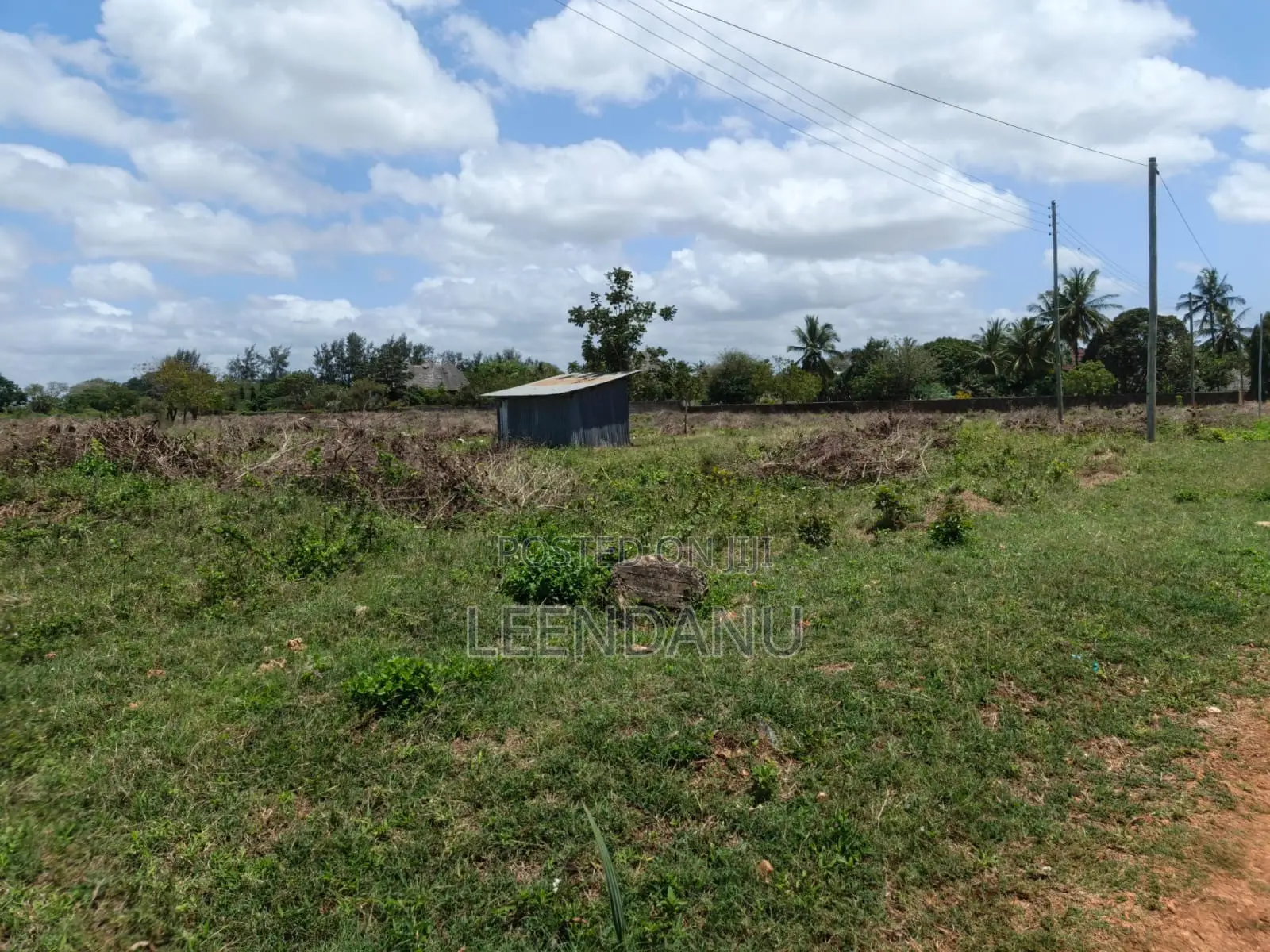 1/4 Acre Plot for Sale