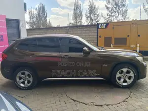 BMW X1 2011 Brown
