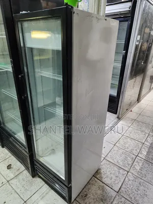 300litres Working Eu Display Fridge