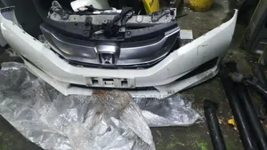 Honda Grace Nosecut