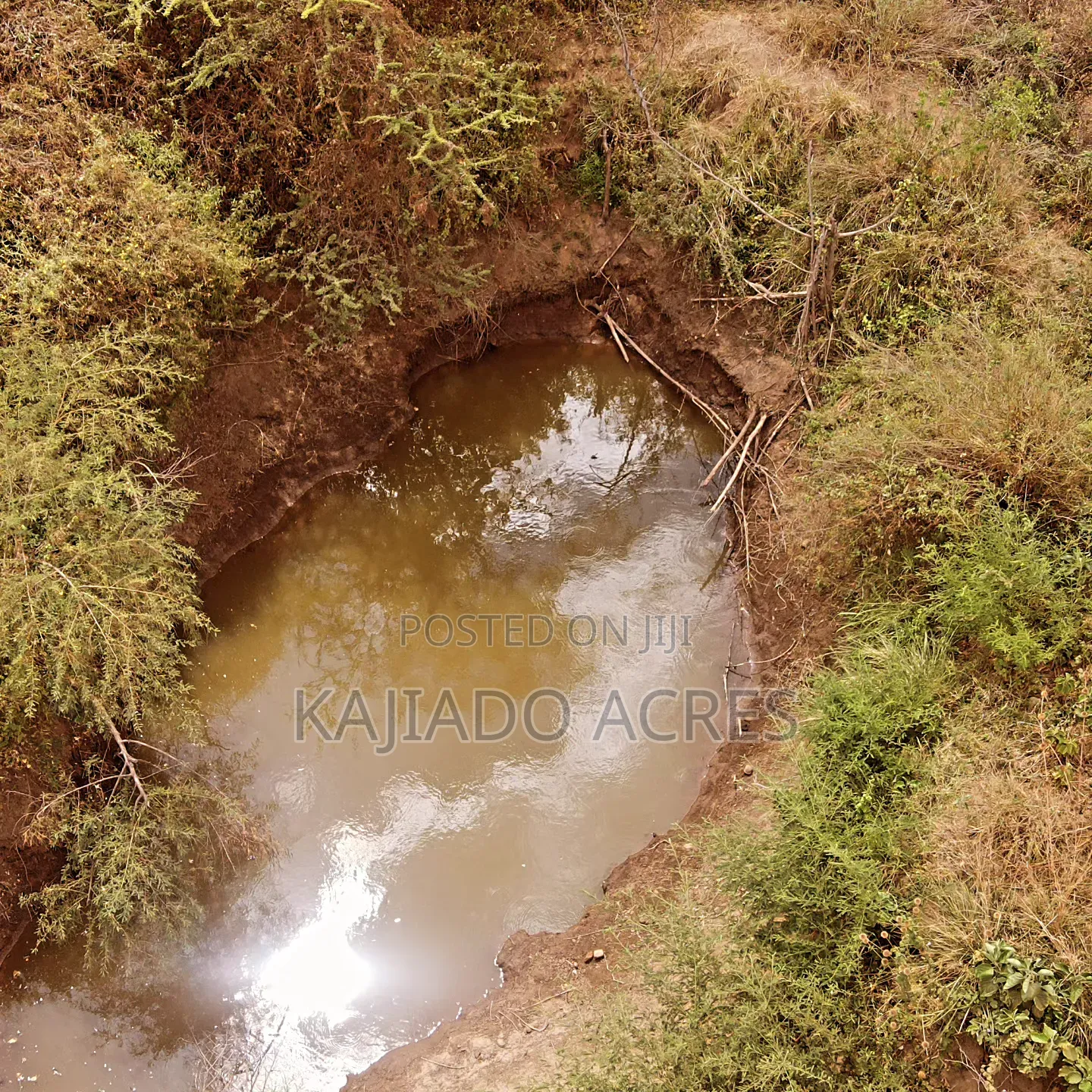 Emergency Quick Sale 156 Acres Nkooito